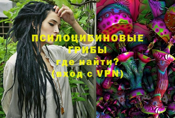 герыч Арсеньев